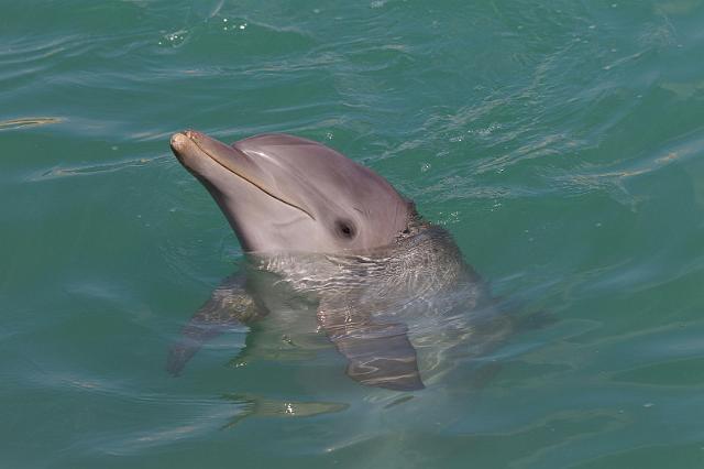 68 Mexico, Costa Maya.jpg